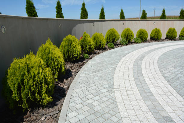 Best Paver Driveway Replacement  in Billings, MT
